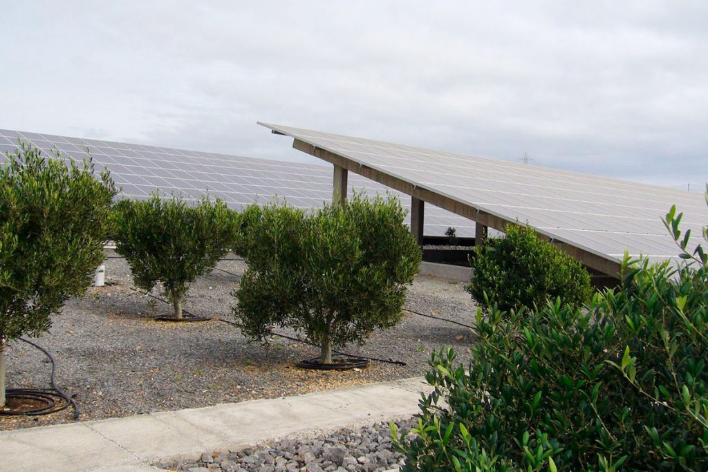 ENERGÍA FOTOVOLTAICA SOLAR