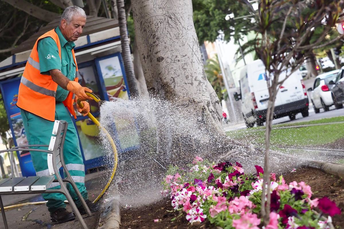La plantación se inició el pasado martes en las calles de la capital. S. M.