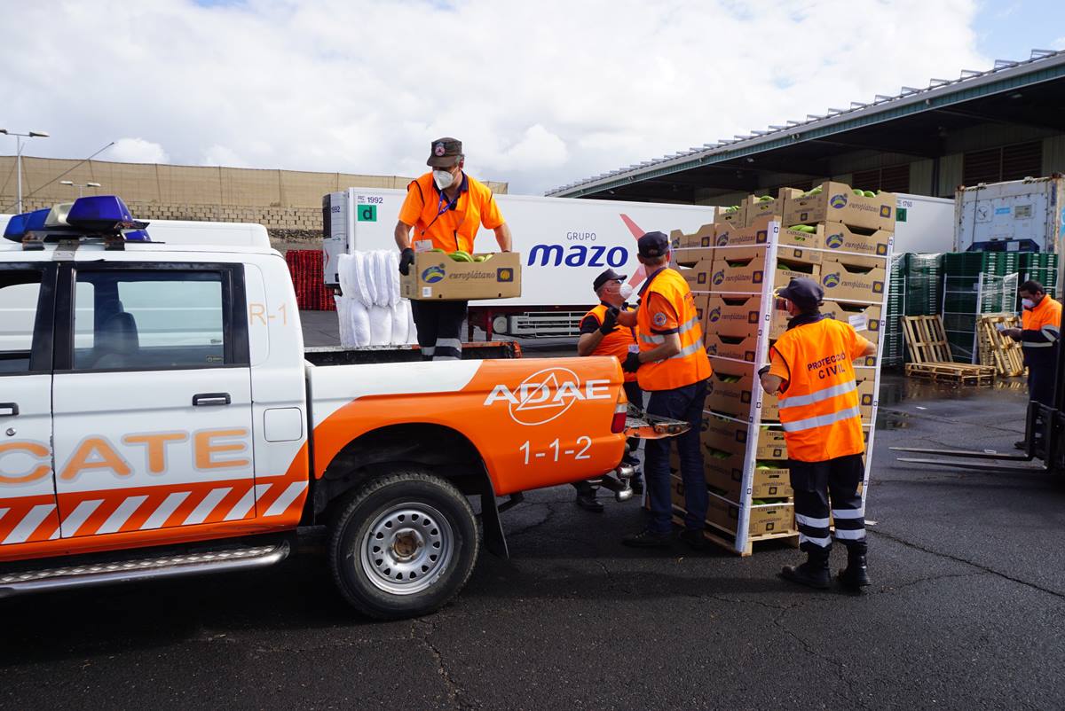 Varios voluntarios cargan cajas de plátanos para trasladarlas al Banco de Alimentos de productos perecederos de Arona. DA 