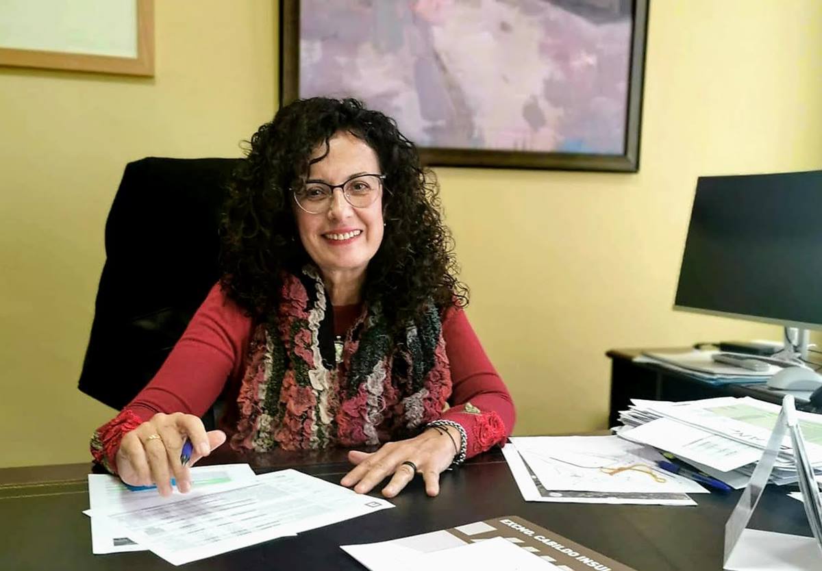Nieves Rosa Arroyo, consejera de Servicios del Cabildo palmero. DA