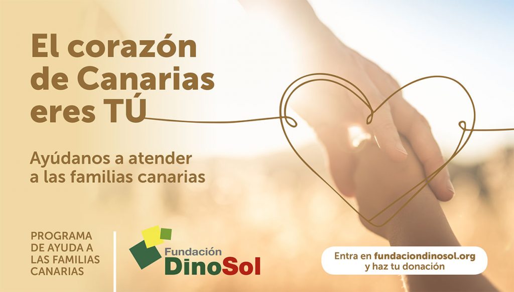 Fundación DinoSol pone en marcha un programa de ayuda para familias en riesgo de exclusión social