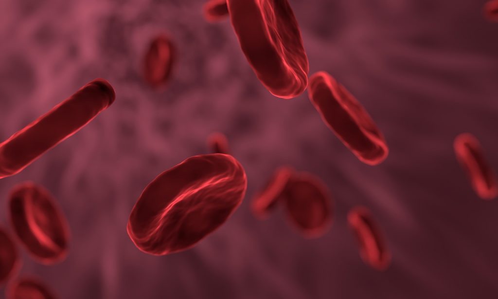Glóbulos rojos. Pixabay