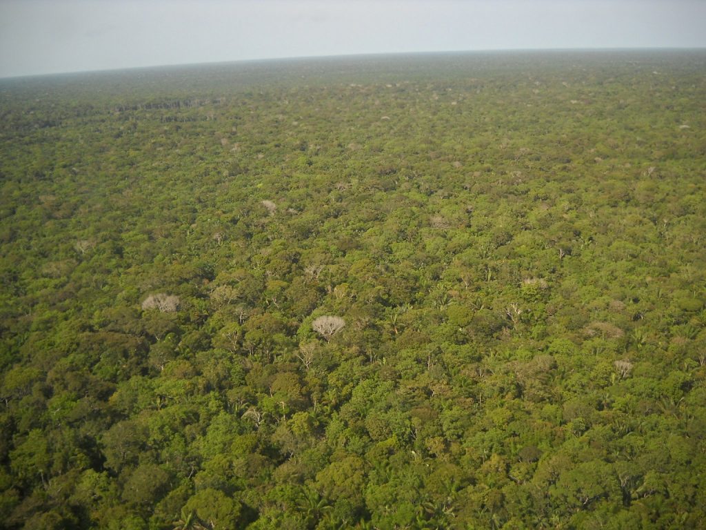 Amazonas (Brasil). Pixabay
