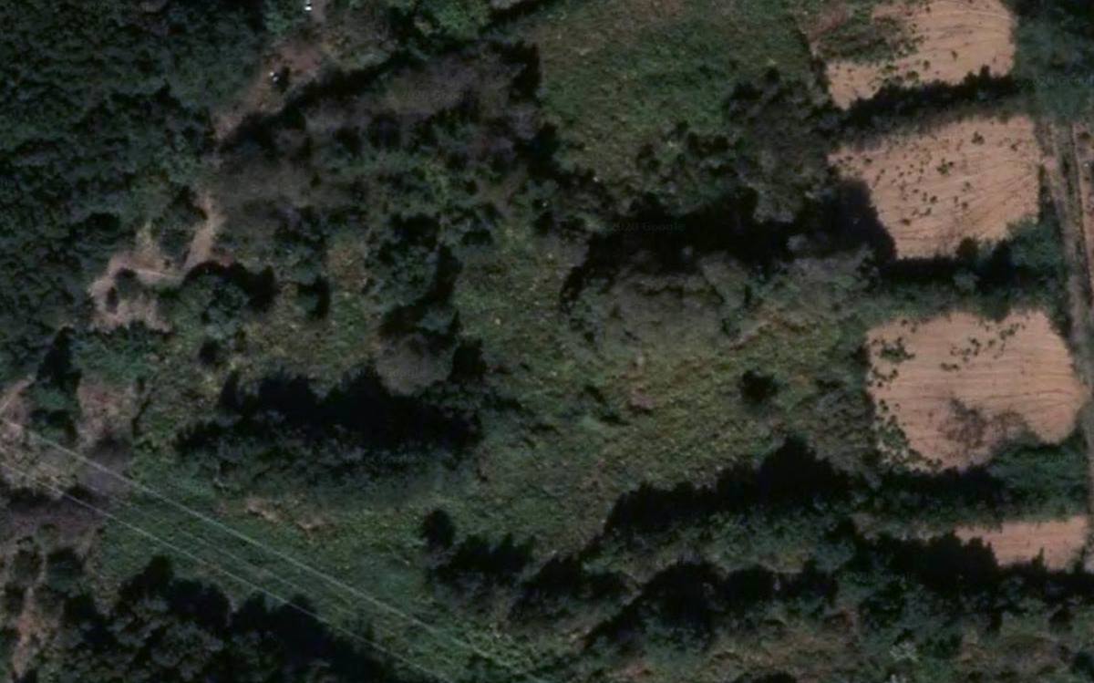 Zona de La Hornaca. Google Maps