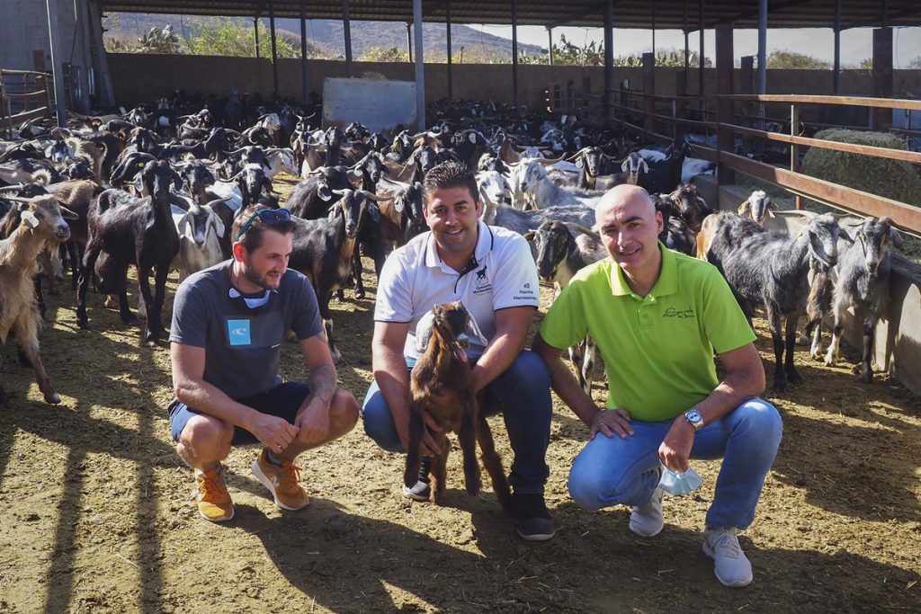 Cristian, Alberto y Roberto, con uno de los cabritos de la Quesería Montesdeoca. Sergio Méndez.