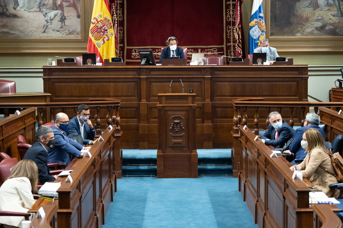 Pleno en el Parlamento de Canarias. Fran Pallero