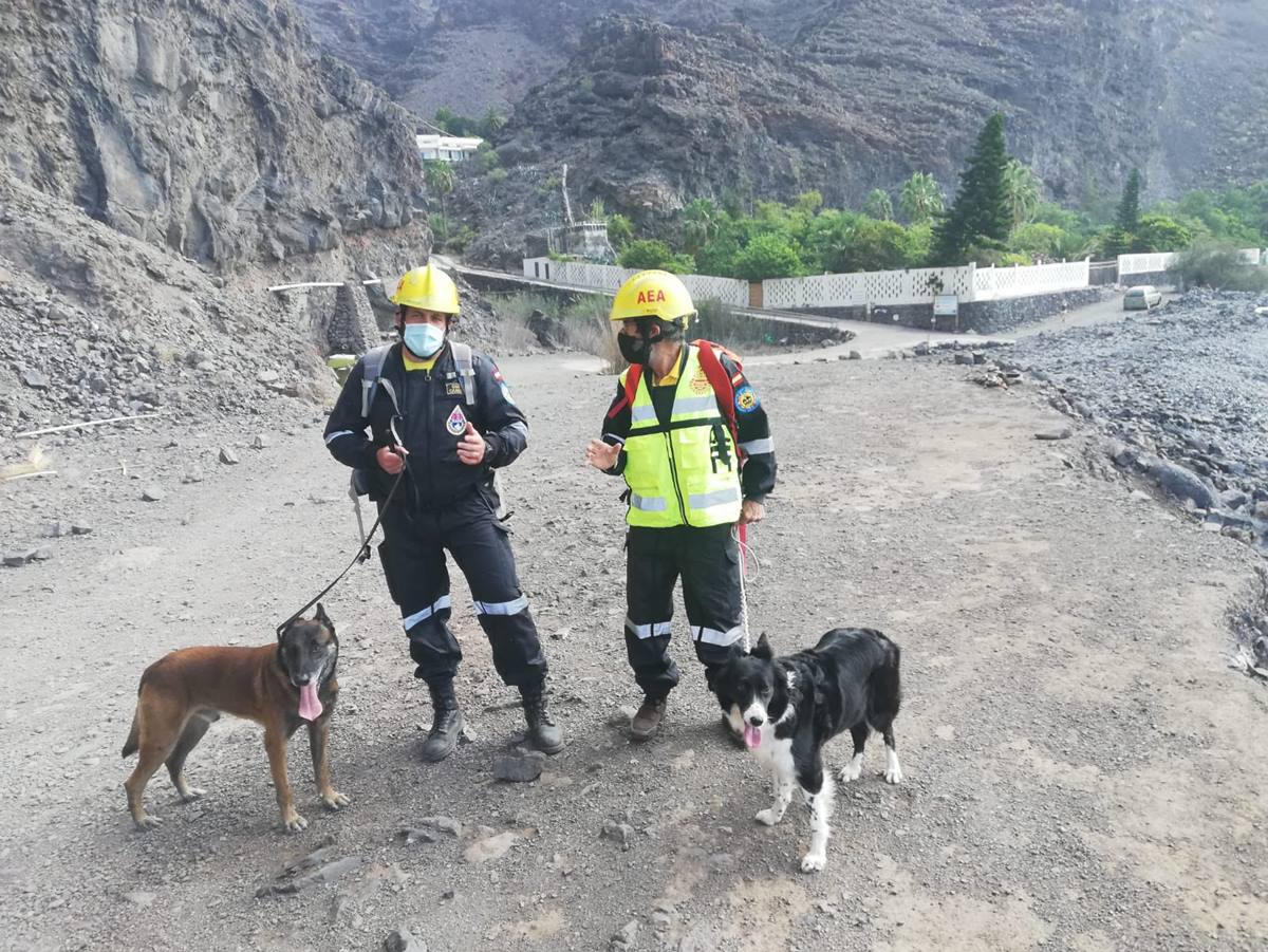 La Unidad Canina de Salvamento continúa la búsqueda de posibles víctimas del derrumbe en Argaga (La Gomera). Ayuntamiento de Valle Gran Rey