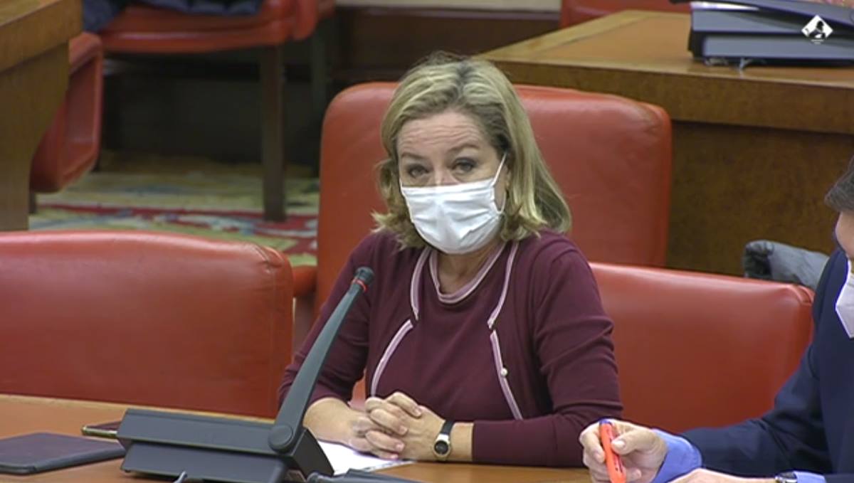 Comparecencia de Ana Oramas. DA