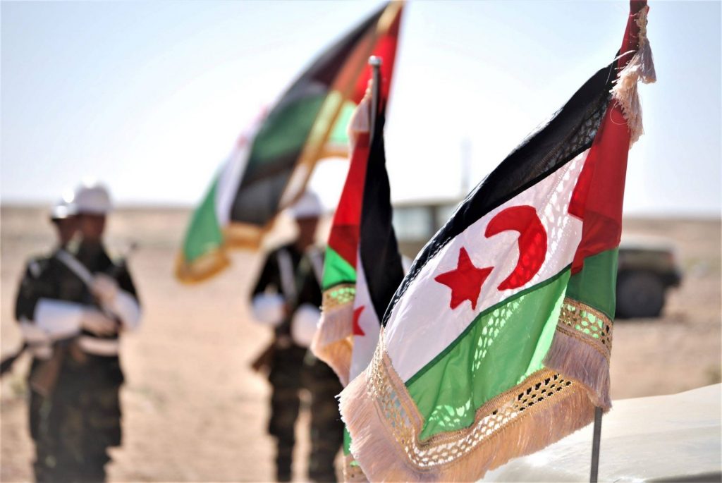 Banderas de la República Árabe Saharaui Democrática (RASD). Frente Polisario