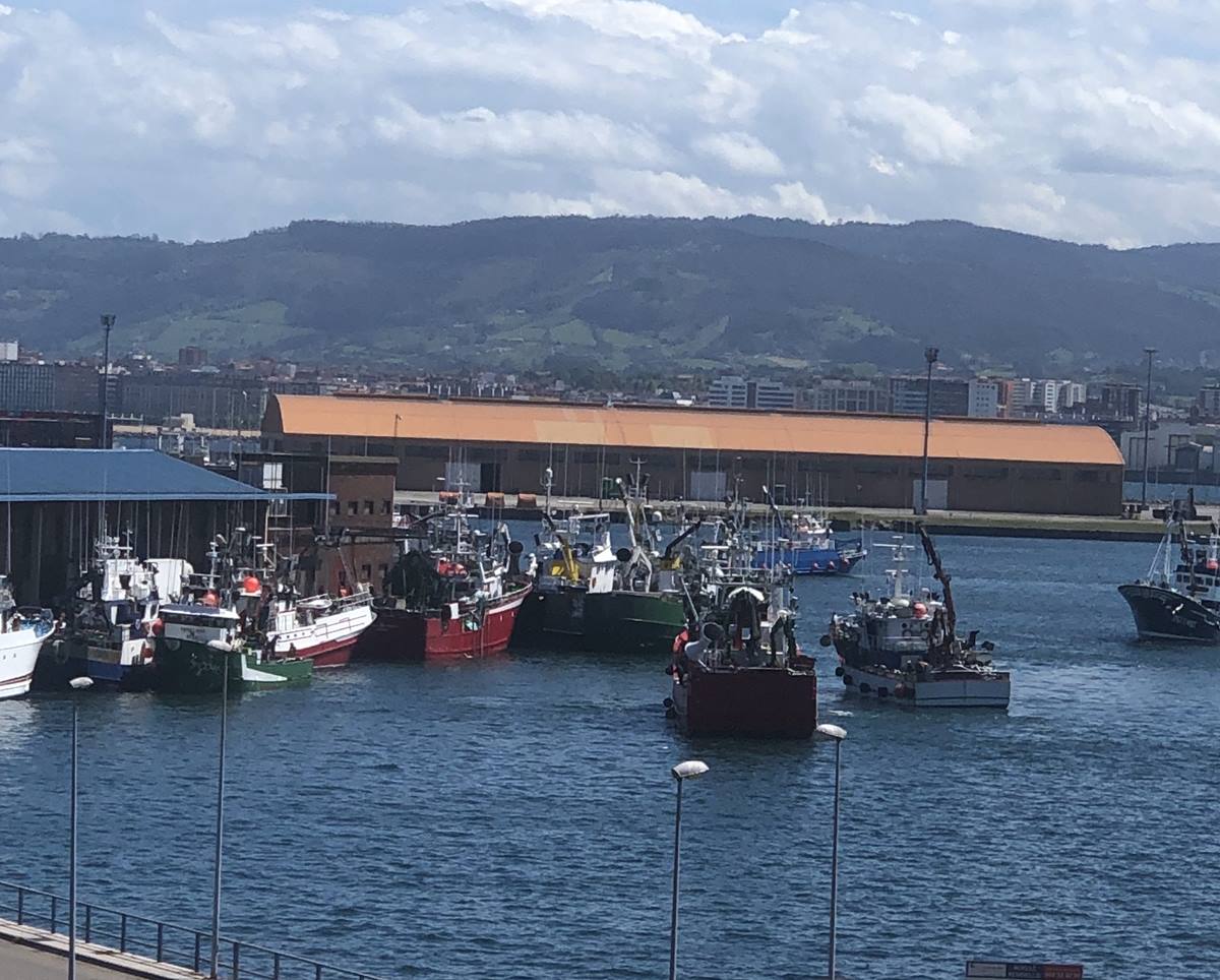 Entrada de barcos pesqueros de bocarte en El Musel. EP