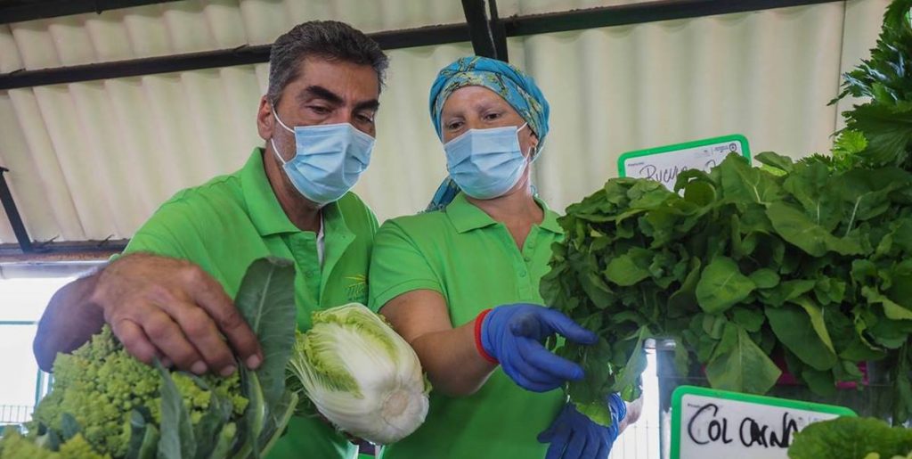 Verduras y lecciones de vitalidad por el mismo precio en Candelaria