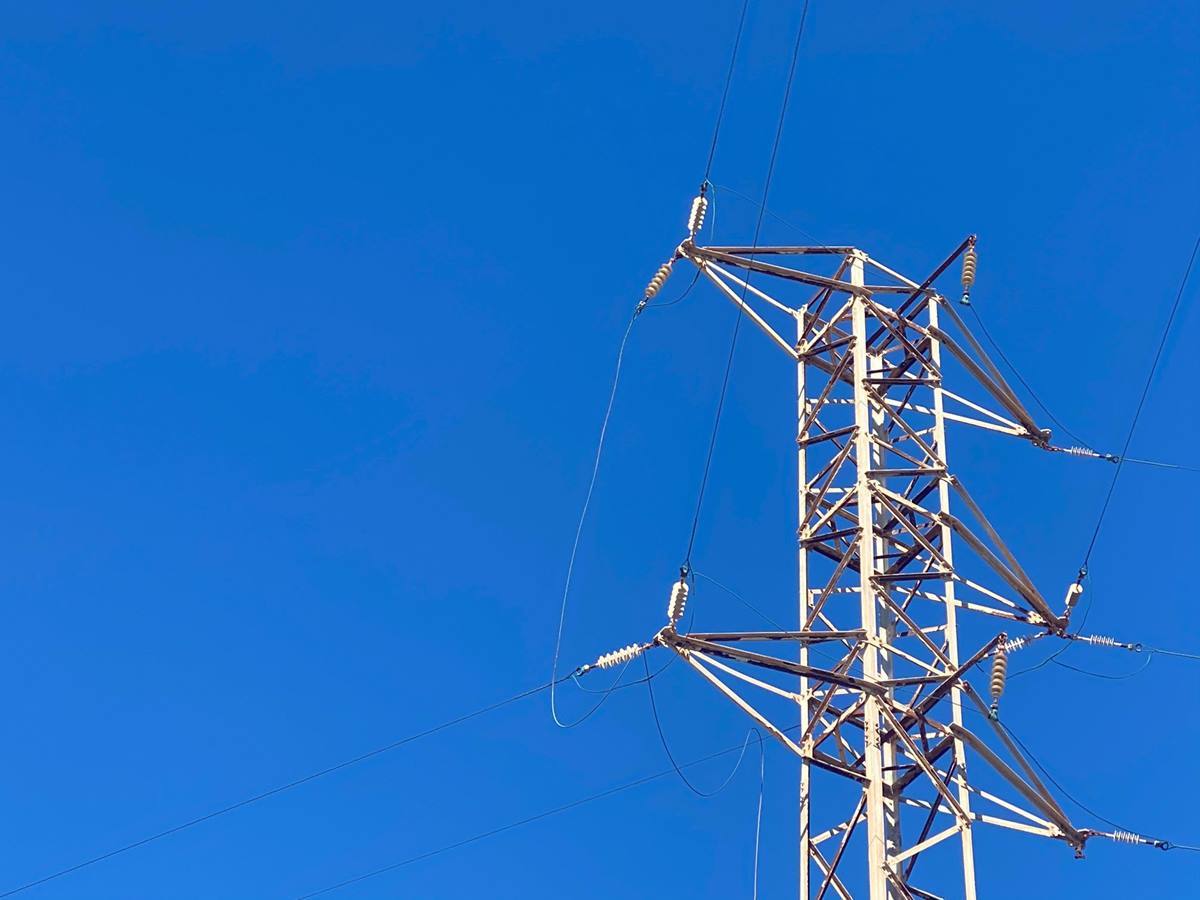 La avioneta dañó los cables que llevan el suministro eléctrico a los barrios de la costa de Arico, lo que produjo cortes de electricidad, detalló el Ayuntamiento. Twitter
