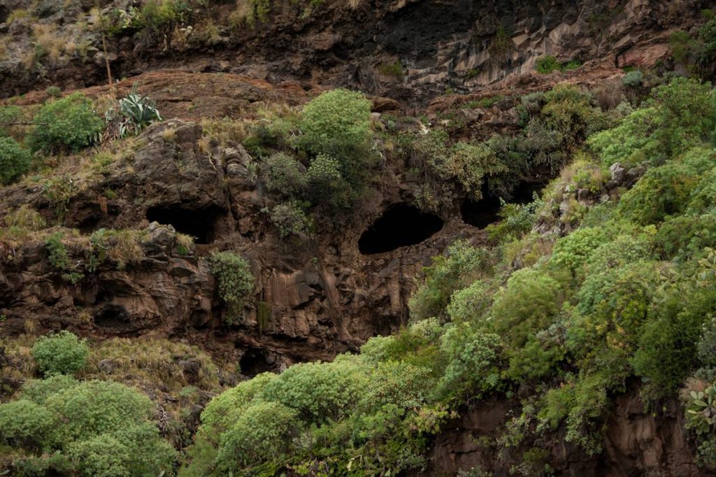 La compra de la histórica cueva de Bencomo se hará tras la valoración de los terrenos por técnicos municipales. DA