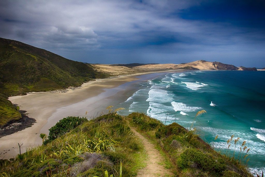 Playa en Nueva Zelanda. Pixabay