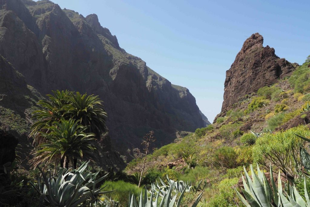 Tenerife facilitará el acceso de uno de los senderos más visitados de la Isla