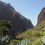 La guía virtual de senderos ‘Tenerife ON’ añade 20 nuevos itinerarios de rutas