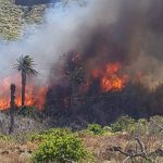Incendio en Bajamar. Bomberos de Tenerife