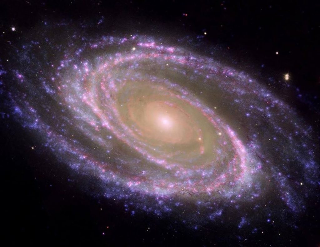 Ejemplo de galaxia espiral cercana, M81, con el bulbo y el disco.