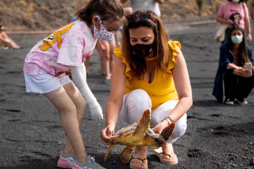 La magia de volver al mar: jornada de suelta de tortugas rescatadas y rehabilitadas en la playa de la Nea