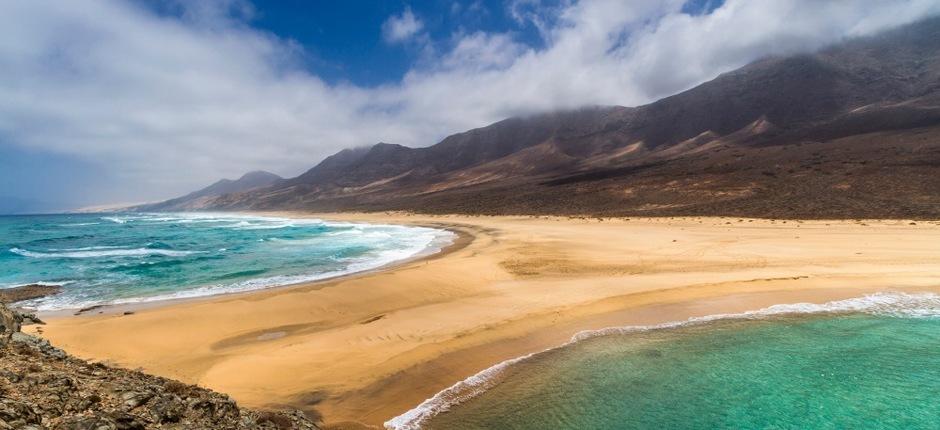 Fuerteventura, primera isla en regular las acampadas en Canarias