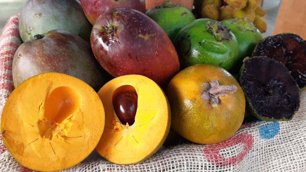 Concurso con frutas tropicales de Tenerife, en Gastronomika