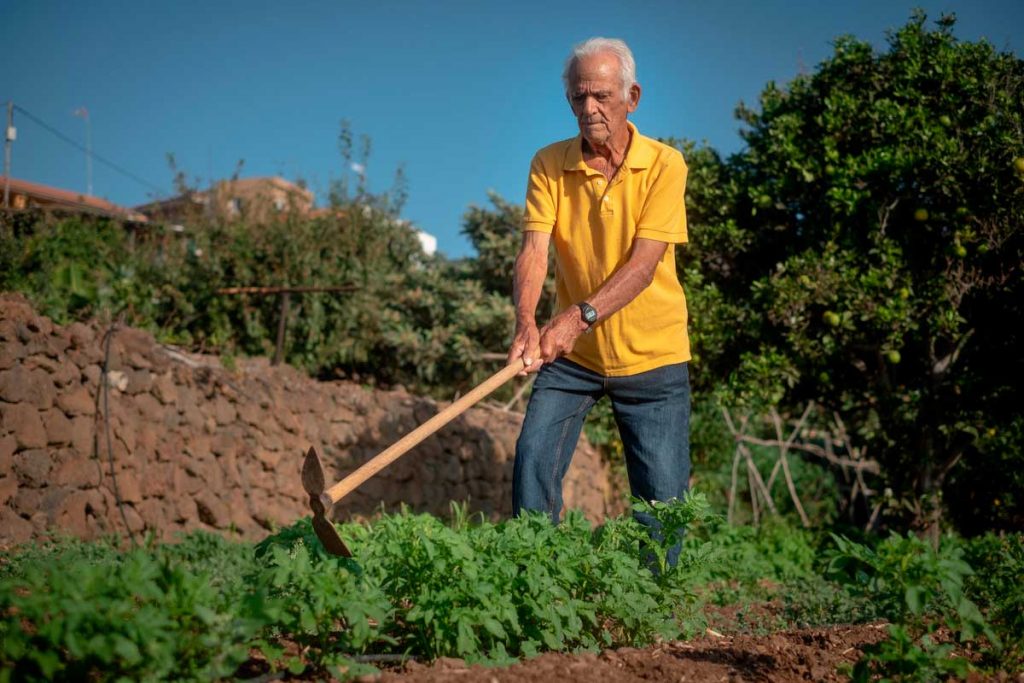 Blas Donate Sánchez, agricultor
