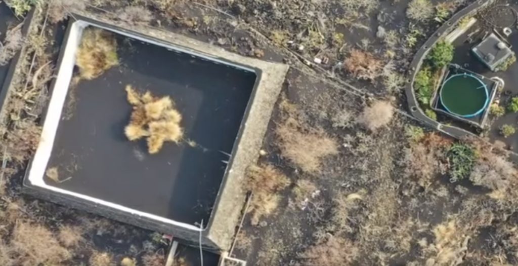 Un gato queda atrapado en un estanque rodeado por la lava. Vídeo Leales.Org