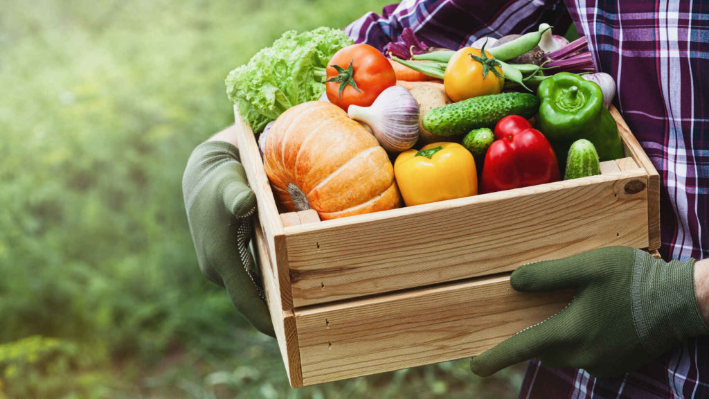 Un agricultor con un cajón lleno de verduras. iStock