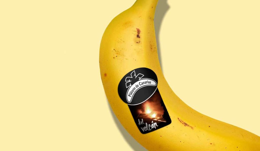 'Plátano del volcán', nuevo distintivo de los plátanos recogidos en La Palma. DA