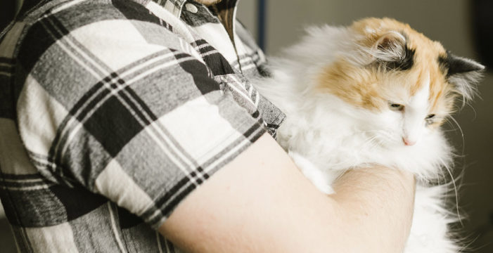 La historia de Alejandro, el informático que quiso adoptar una gata y acabó fundando Leales.org