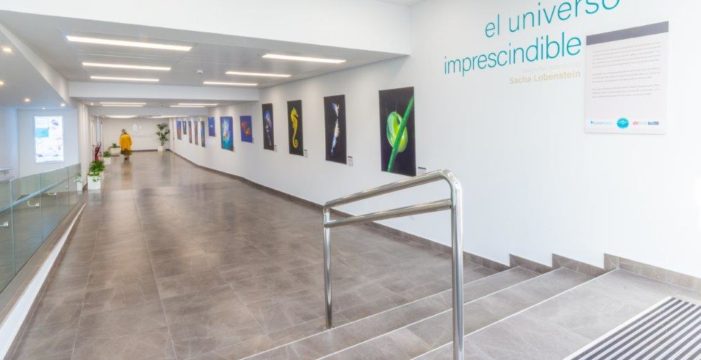 Quirónsalud Tenerife acoge la exposición “El universo imprescindible” de Sacha Lobenstein