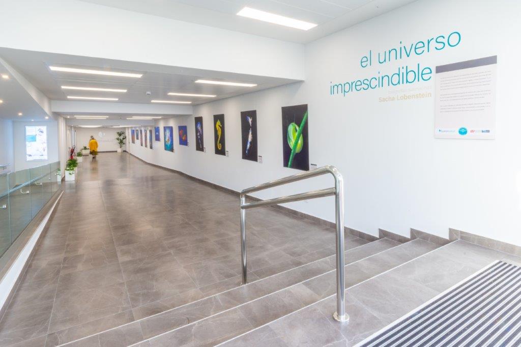 Quirónsalud Tenerife acoge la exposición 'El universo imprescindible' de Sacha Lobenstein