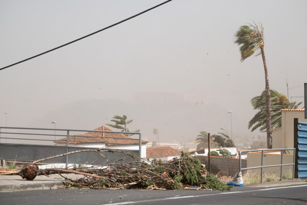 Imagen de archivo del viento en el Norte de Tenerife. Fran Pallero