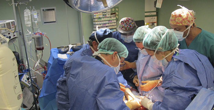 Canarias realiza 184 trasplantes de órganos, 17 de ellos de corazón, durante 2021