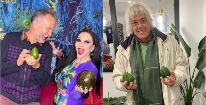 De Caco Senante a Alaska: los aguacates de La Palma que se venden en Madrid y triunfan entre famosos