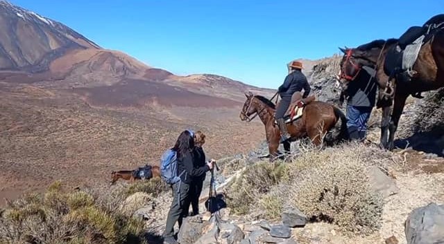 Las Cañadas del Teide, a los pies de los caballos