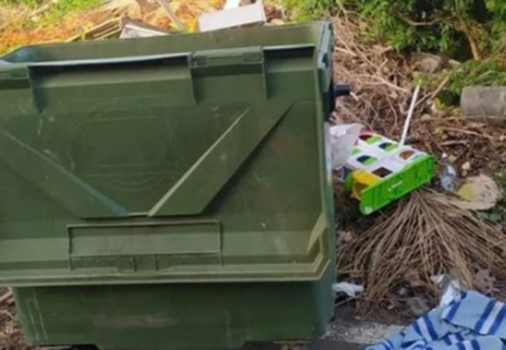 Imagen del contenedor en el que la vecina encontró a la oveja muerta cuando fue a tirar la basura. Albergue Comarcal Valle Colino