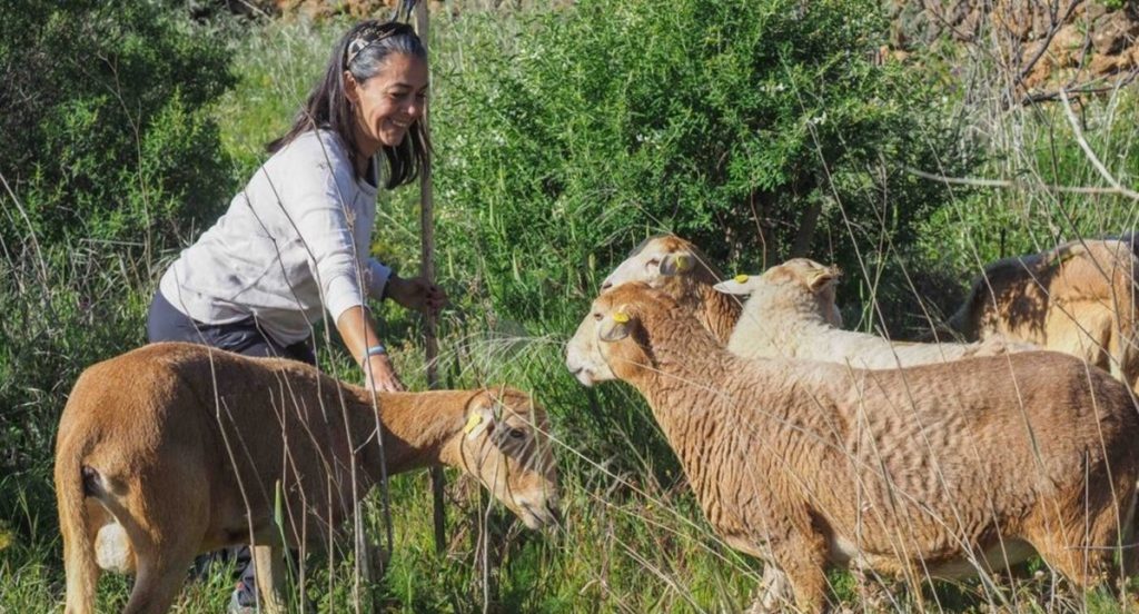Pilar Carballo con sus ovejas canarias de pelo, una raza autóctona, que cuida con esmero en Arafo. Sergio Méndez