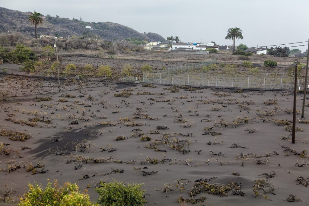 Un manto de ceniza cubre una zona de Puerto Naos, a 27 de octubre de 2021, en Puerto Naos, La Palma, Europa Press (Foto de archivo)