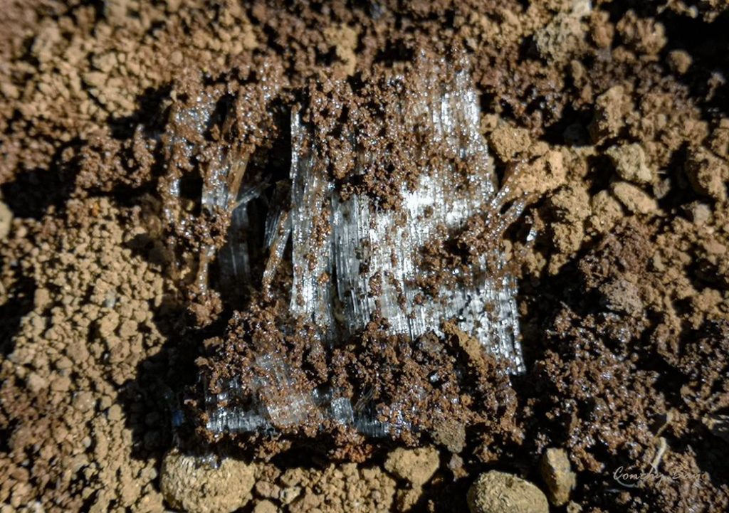 agujas de hielo en el Teide