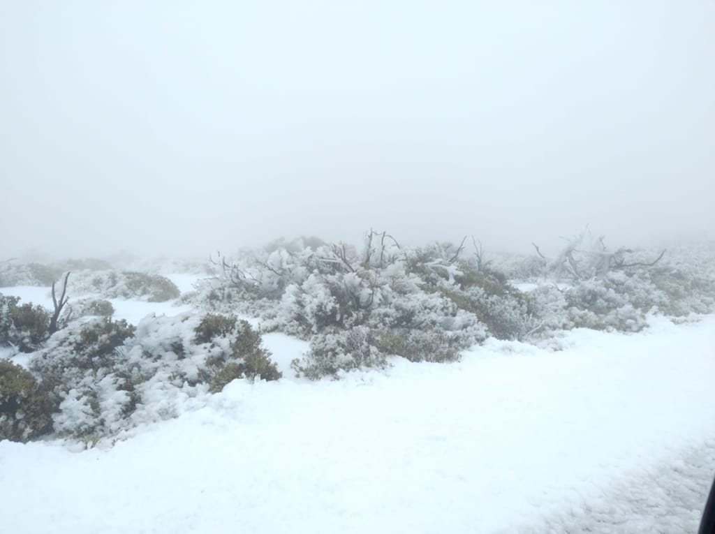 Nieve-en-el-Teide