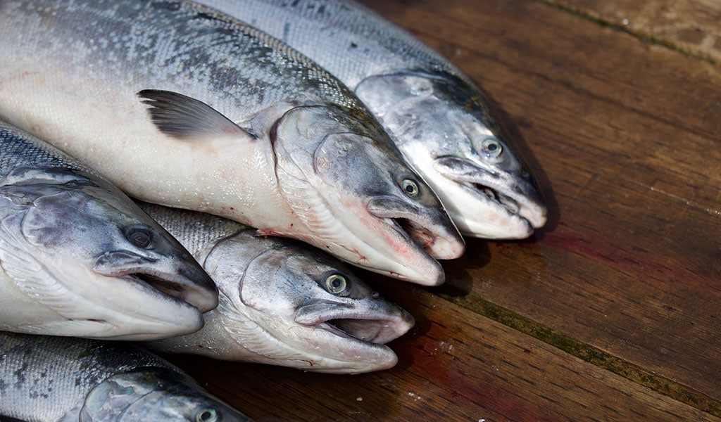 Confiscan más de 100 kilos de pescado en un restaurante en El Hierro
