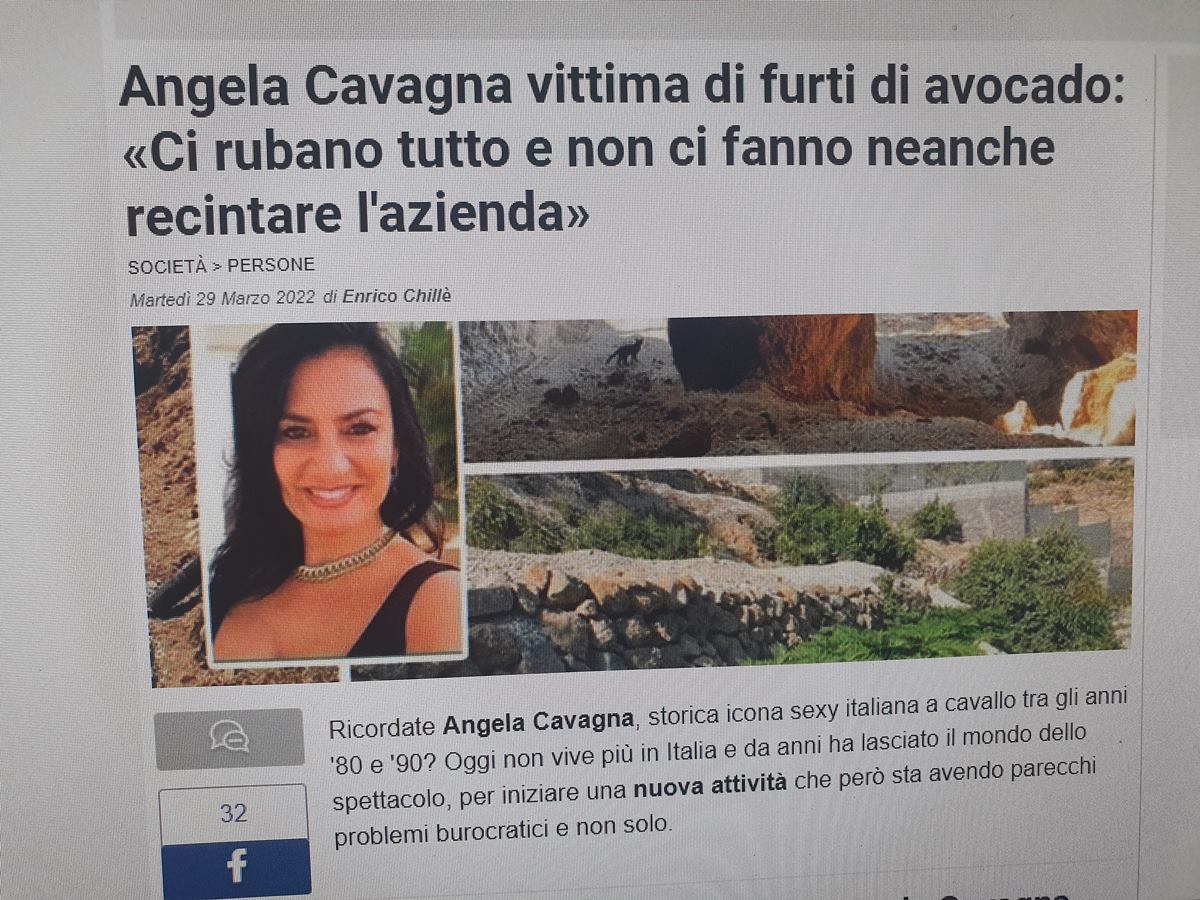 Il saccheggio di avocado nella fattoria di Angela Cavagna a Guimare, in Italia, ha suscitato grandi polemiche.