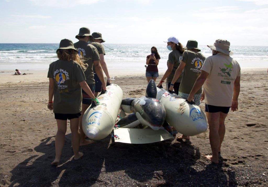 Loro Parque Fundación colabora en una formación en varamiento de cetáceos