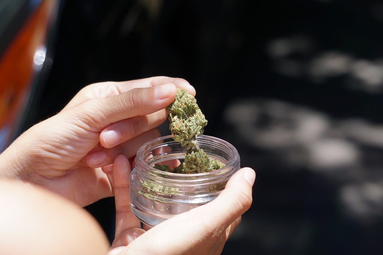 asociaciones-cannabicas-tenerife