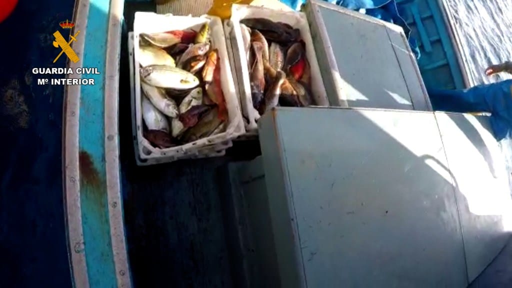 Pesca-ilegal-en-Canarias