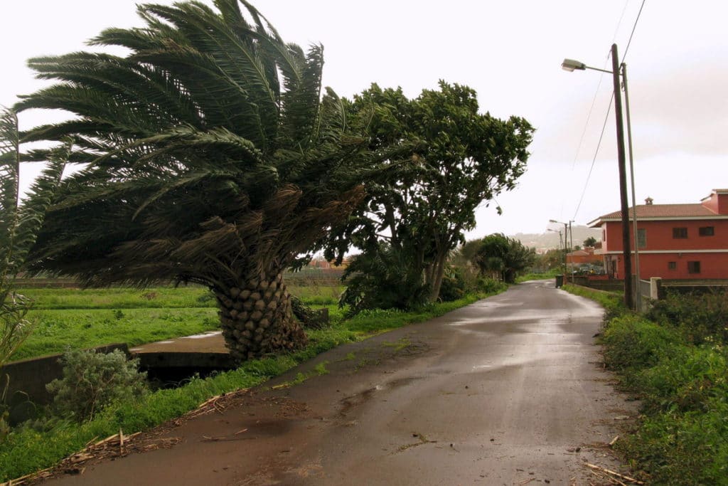 rachas de viento muy fuertes en Canarias