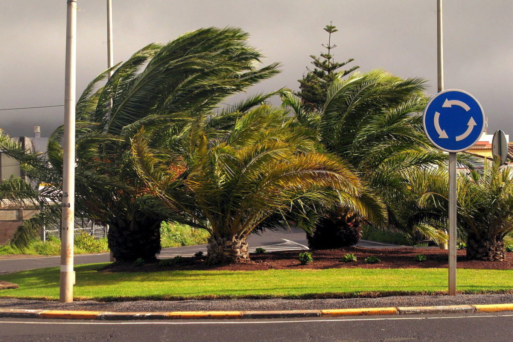 rachas de viento muy fuertes en Canarias