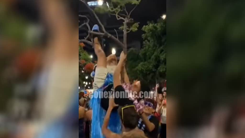 Un gracioso con falda hawaiana cae desde un árbol en el Carnaval