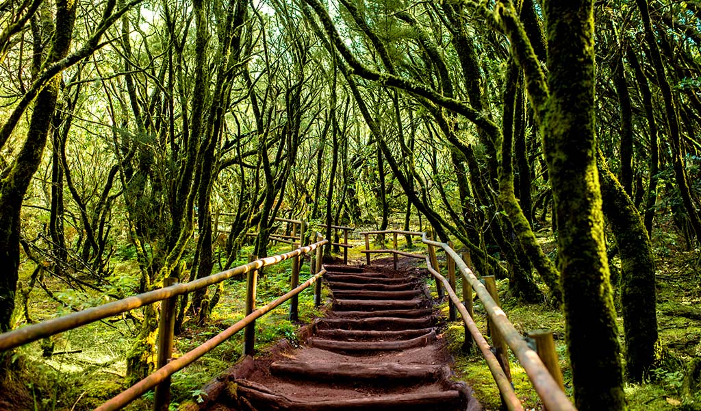 Entre las curiosidades de Canarias destaca que es la comunidad autónoma de España con más parques nacionales